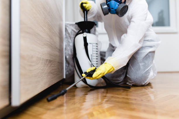 Best Exterminator Services  in Scarsdale, NY
