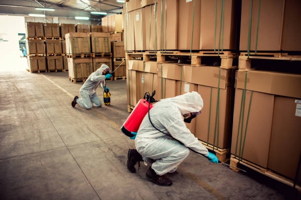Best Termite Control Services  in Scarsdale, NY
