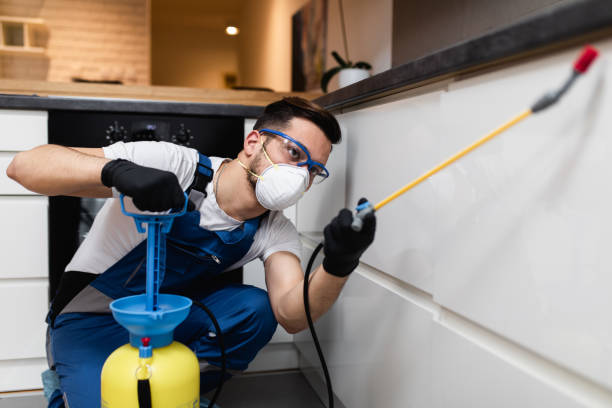Best Mosquito Control Services  in Scarsdale, NY