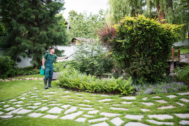 Best Rat Extermination Near Me  in Scarsdale, NY