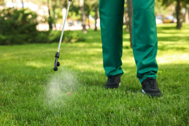 Best Pest Inspection Near Me  in Scarsdale, NY