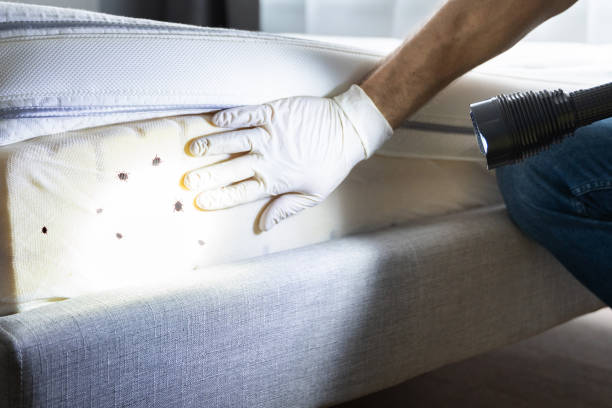 Insect Control in Scarsdale, NY
