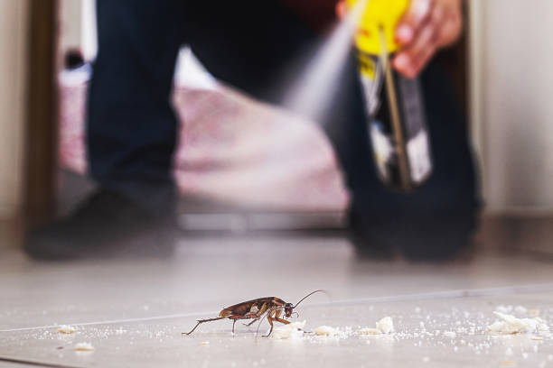 Best Best Pest Control Companies  in Scarsdale, NY