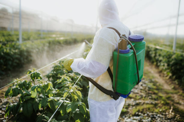 Scarsdale, NY Pest Control Company